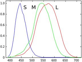 cone spectral sensitivities