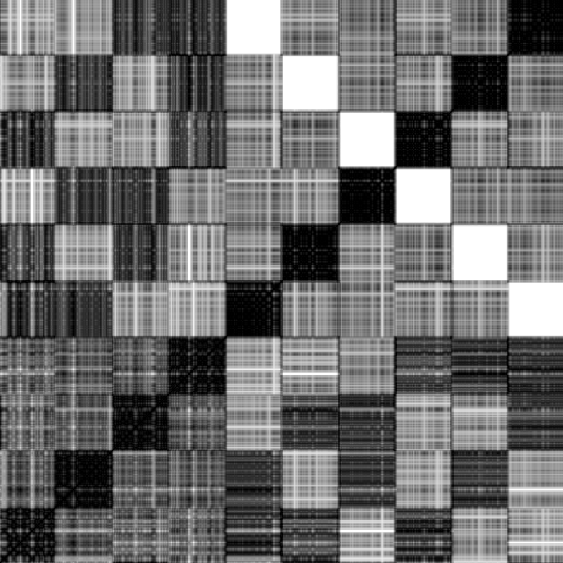 recurrence matrix