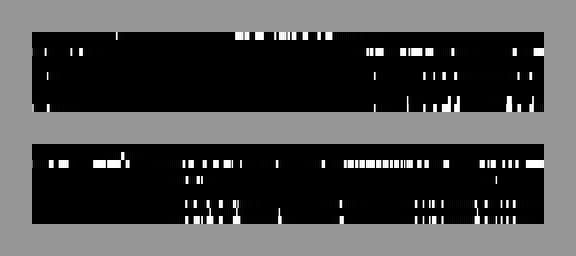 time series data displayed as an image, with ones as white line segments; each column represents the area or areas fixated at a given time