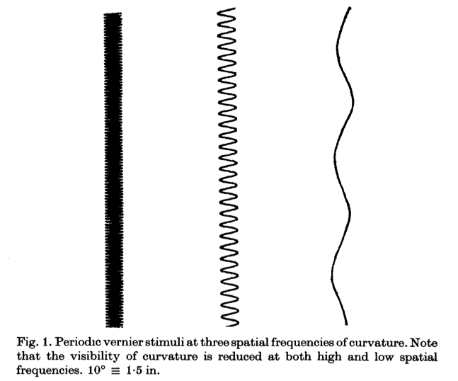 Fig 1 from periodic vernier acuity paper