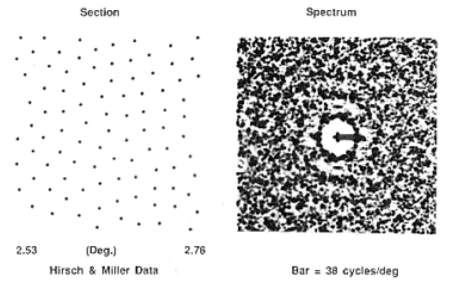 Cone array and desert island spectrum