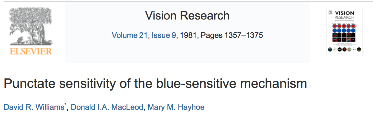 Title of Hayhoe's 1981 Vision Research paper