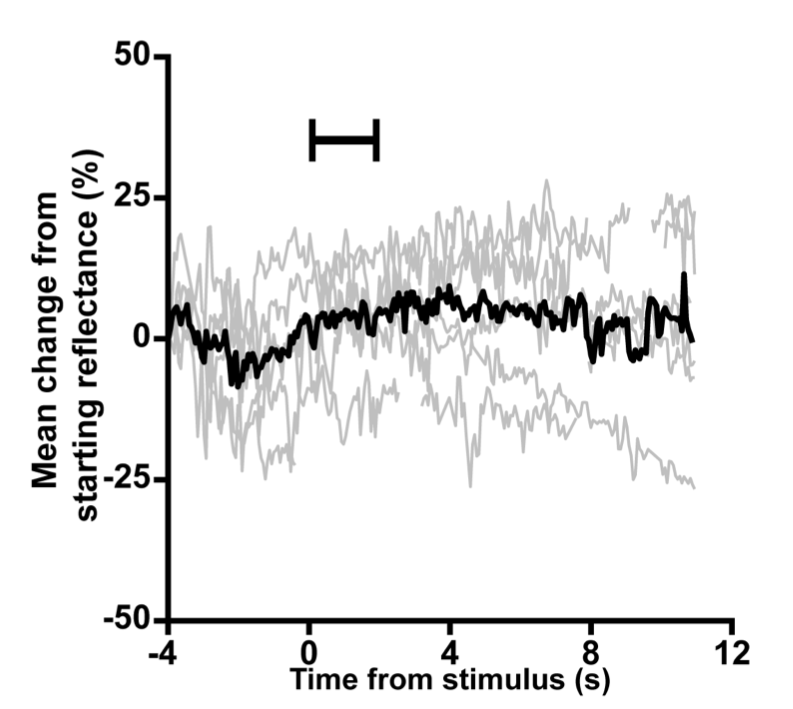 Figure 9 from Cooper et al. '17