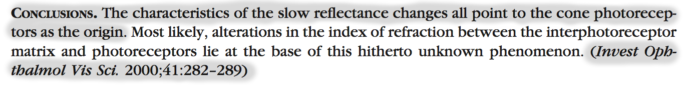 Excerpt from abstract of Delint et al. '00