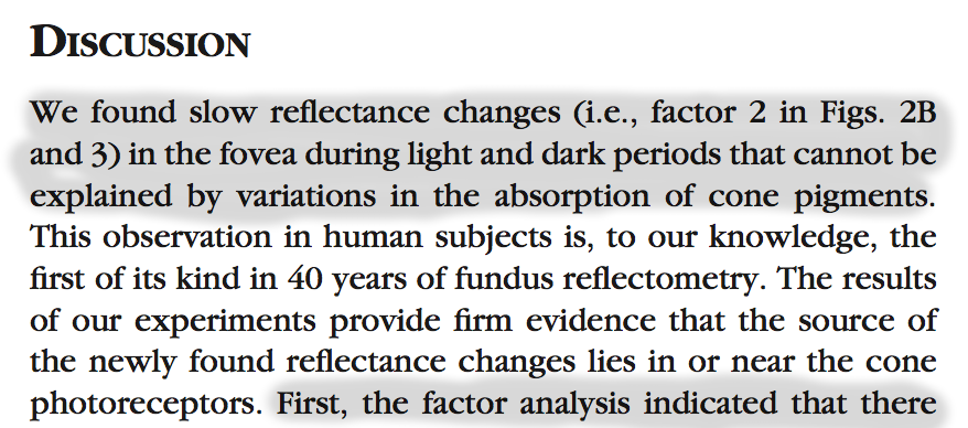 Excerpt from discussion in Delint et al. '00