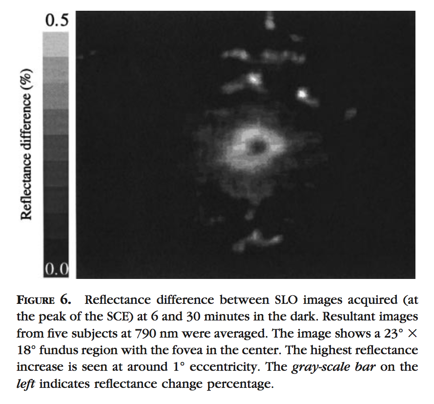 Figure 5 from Delint et al. '00