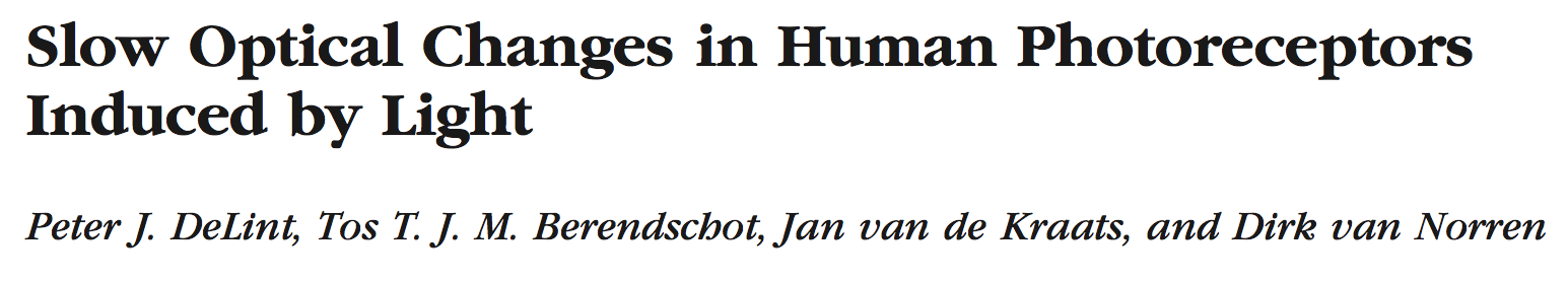 Paper title from Delint et al. '00