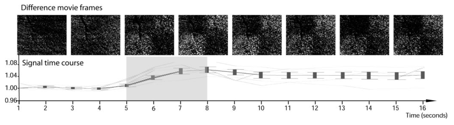 Figure 1 from Grieve & Roorda '06