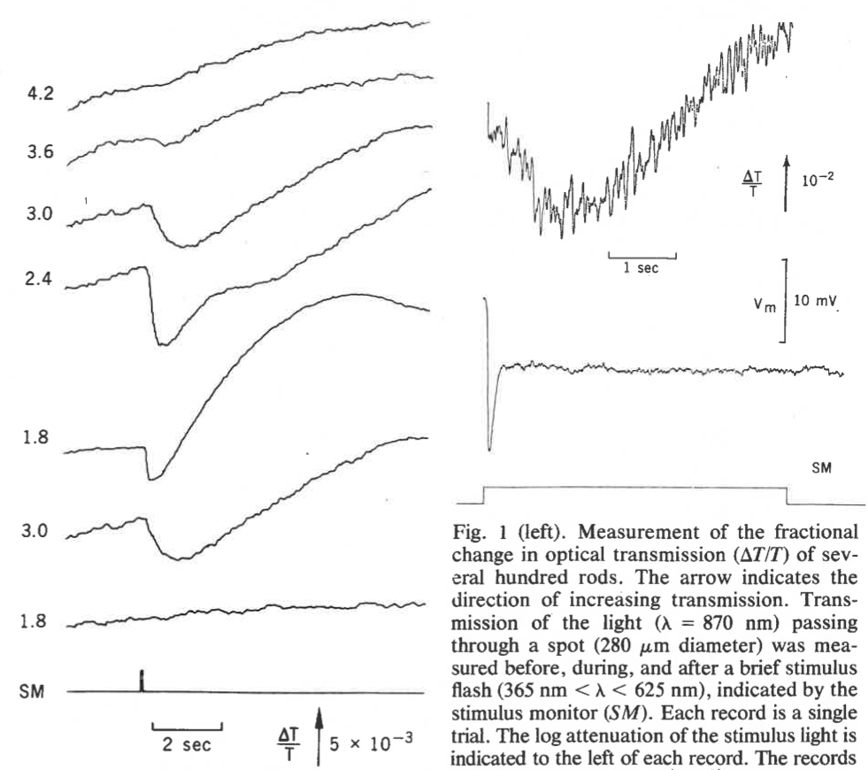 figure from Harary et al 1978