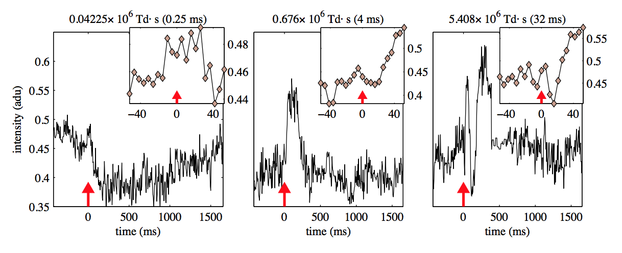 Figure 7 from Jonnal et al. '07