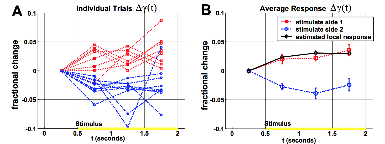 Figure 3 from Srinivasan et al. '09