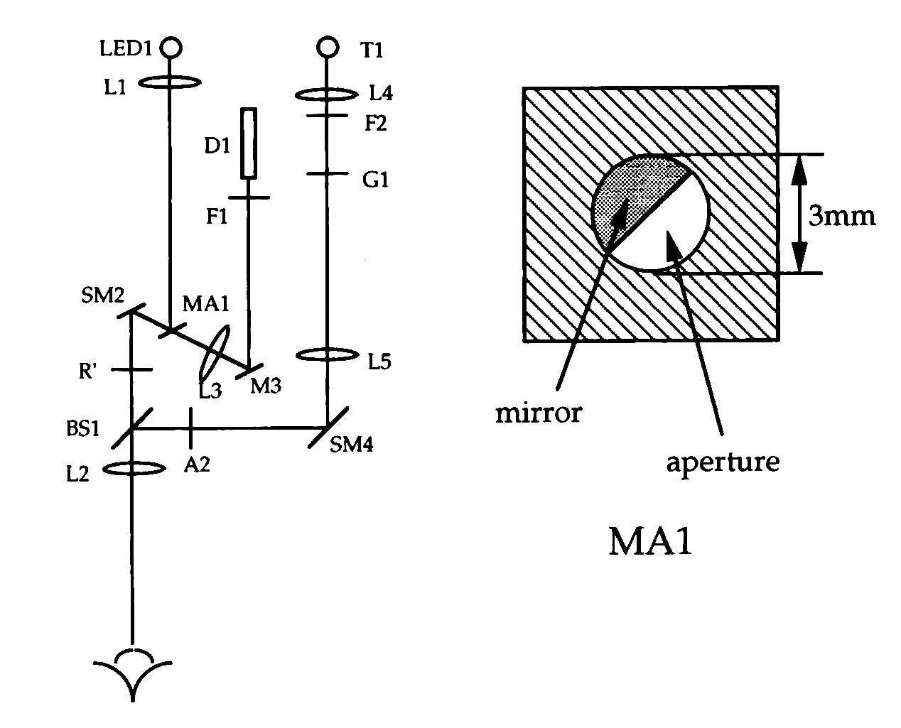 figure from Mulligan & MacLeod 1994