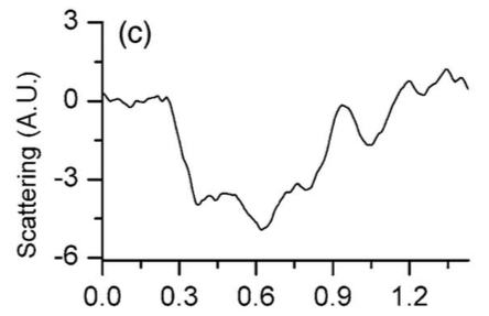 Figure 5c from Yao et al. '05