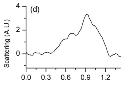 Figure 5d from Yao et al. '05