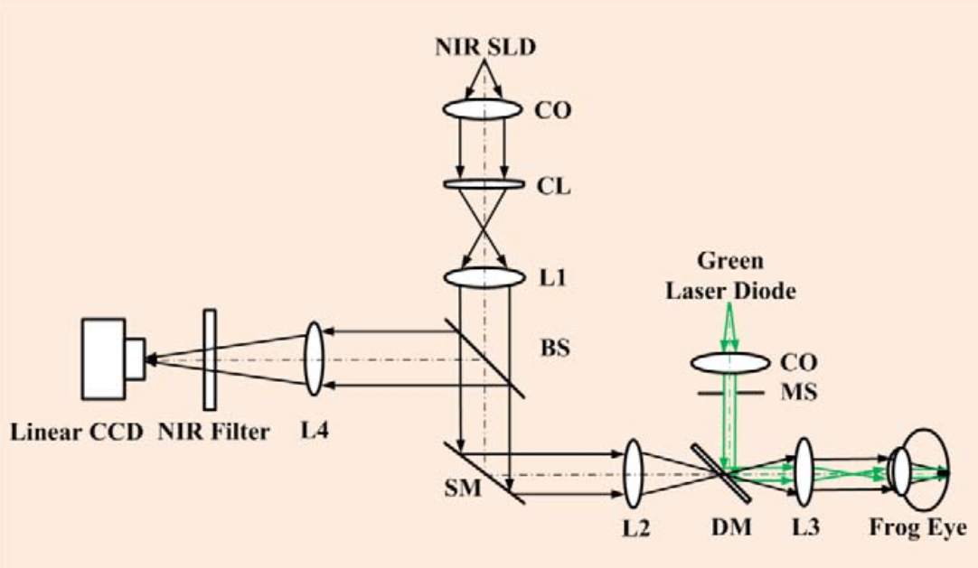 Figure 1 from Zhang et al. '12